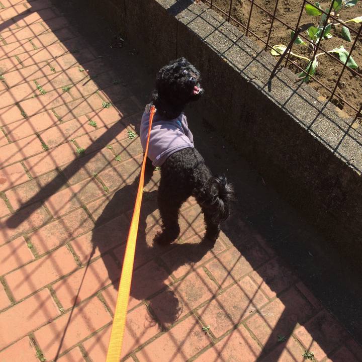 90c0b8b6 3a9b 4a16 8abb d930d4eac045