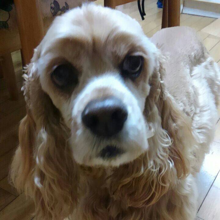 90c156d7 8e18 4532 9640 d7ef4be9f8e8