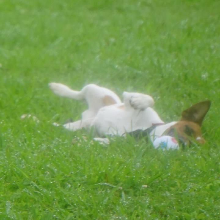 90c228f0 5512 49f2 b2f4 828382288fdd