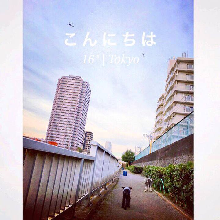 90c2502c 4b57 46bc 8a91 643516f70293