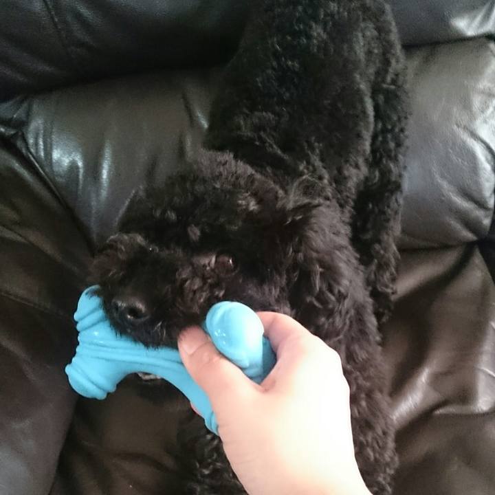 90c2a42e 31f5 4b57 bdbd 38e7af8832ed