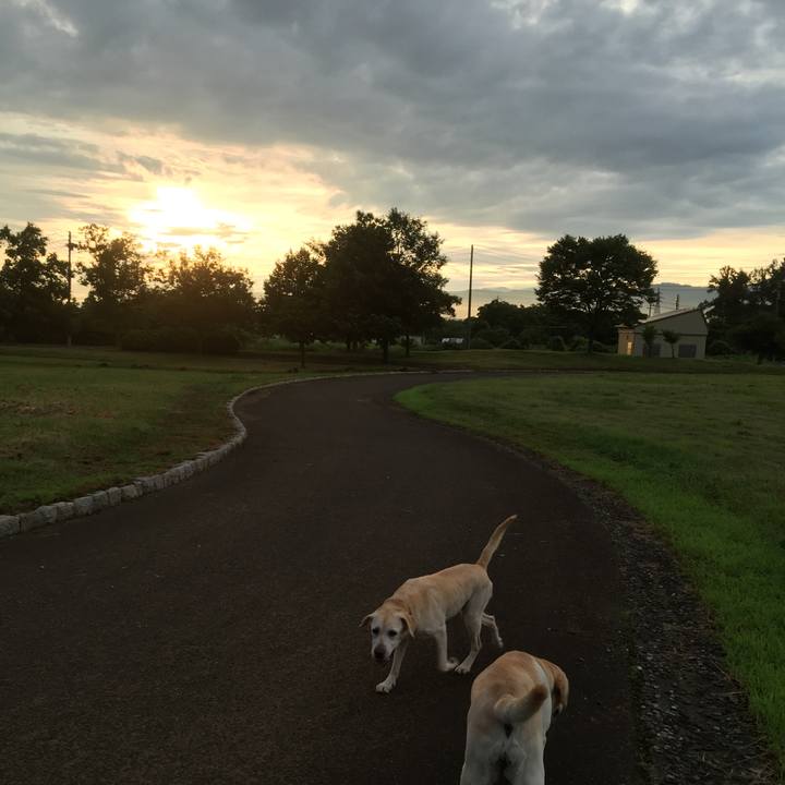 90c2df9c e393 4e29 b2b8 5912ddb62a5a