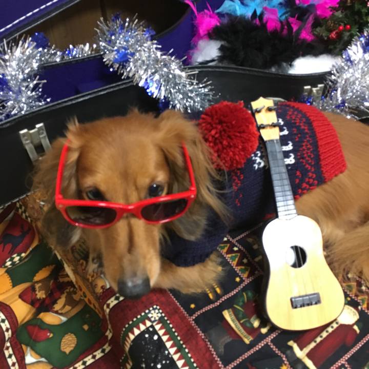 90c46e03 0a28 4911 b5e4 20fb5e705303