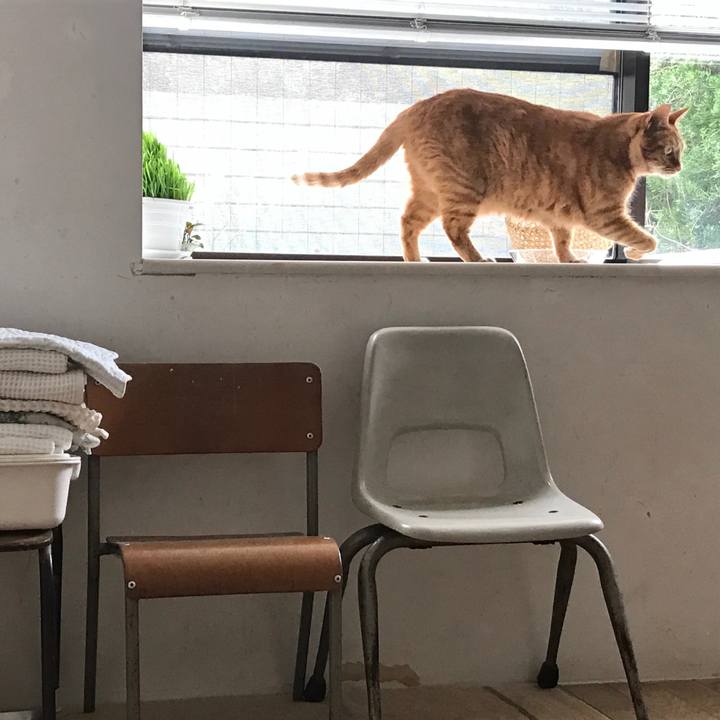 90c472bc 9488 42f1 a1cb ee098067c6a3