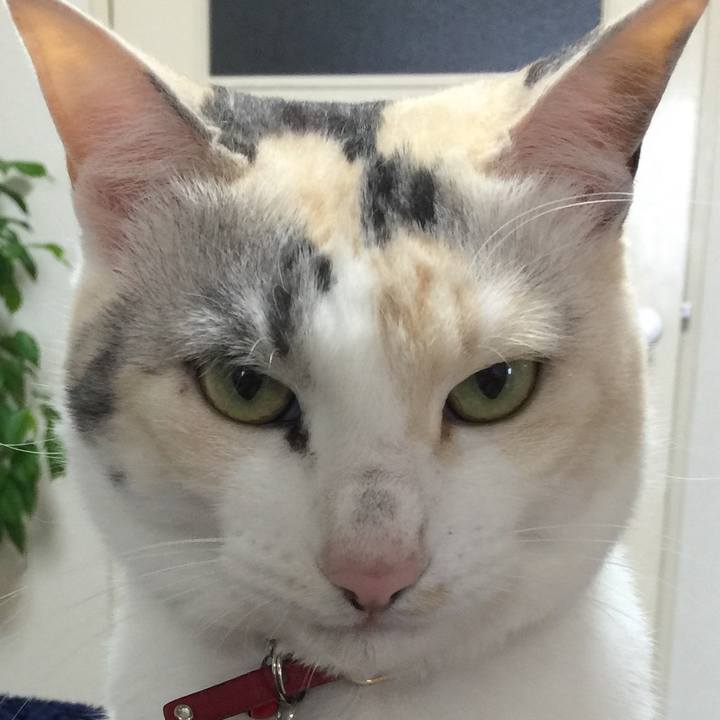 90c48f67 9309 4717 b530 677ccdf858a2