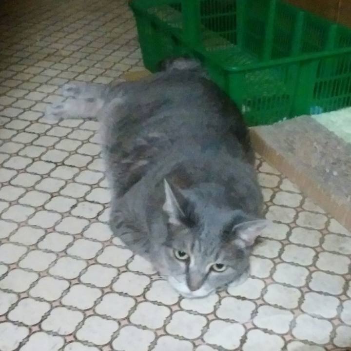 90c5296e 4a52 47fd 9a7b 877e0b52ef37