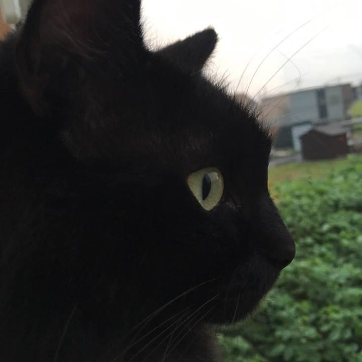 90c58929 1545 4420 9bac d12b4a66c7b2