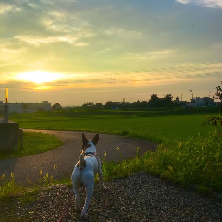 90c5eab6 9221 420b aa4b 89d80e1f8520