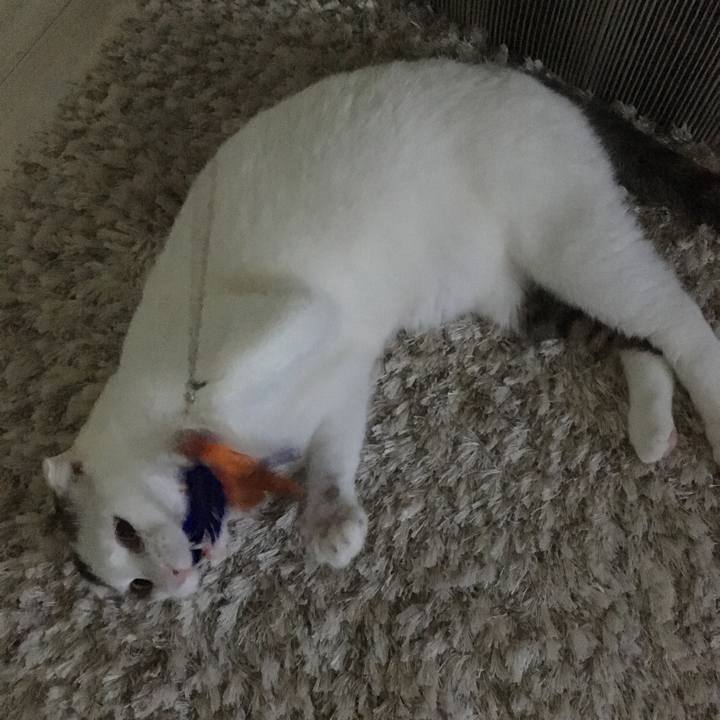 90c63c55 77a0 4e2a bf62 1d0c8c36ca31