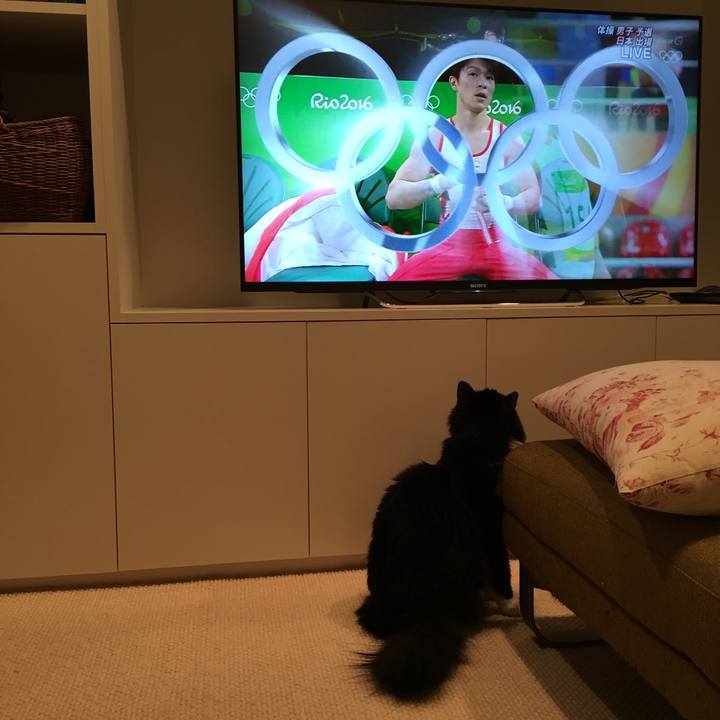 90c6a56b b7a8 4524 bec4 b447c587548c