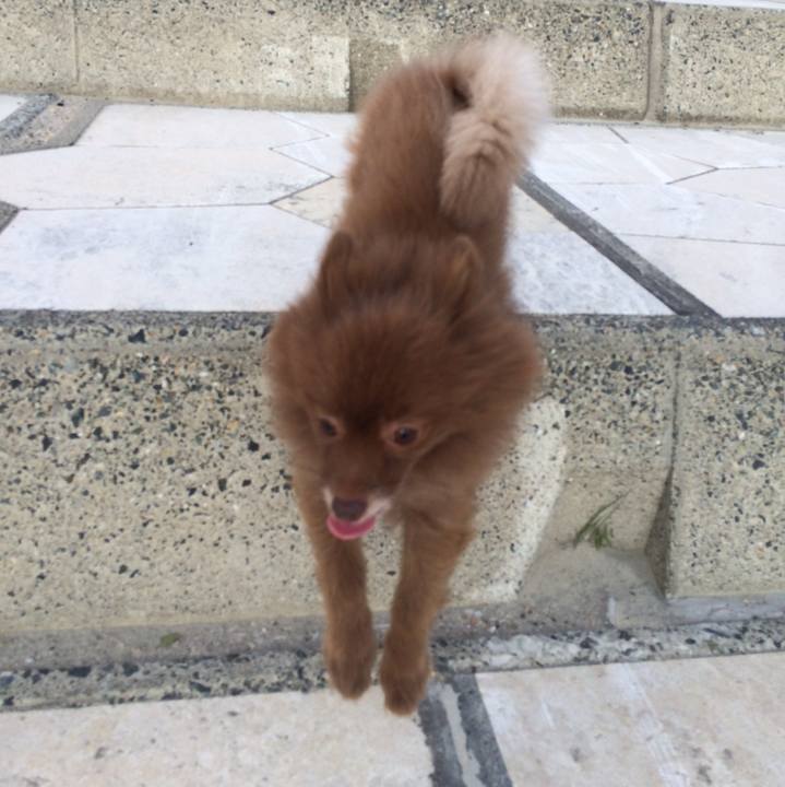 90c7d527 3718 402c 9536 d0b1358e9b6a