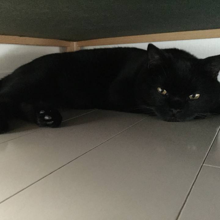 90c80326 ee22 4c20 a3af 7259e1cd3c70