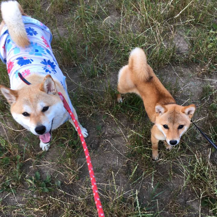 90c85753 de88 4fd9 bee7 9b6160bb18b8