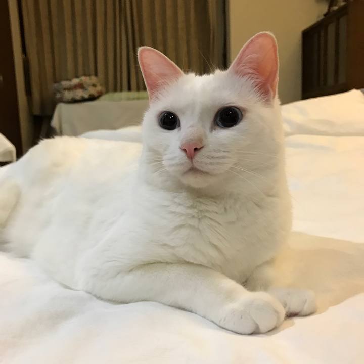 90c868c0 2ad2 4df1 acc1 8b6ebcab7b1b