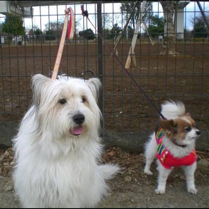 90c90a81 389d 49a3 8310 1ace413ec73d