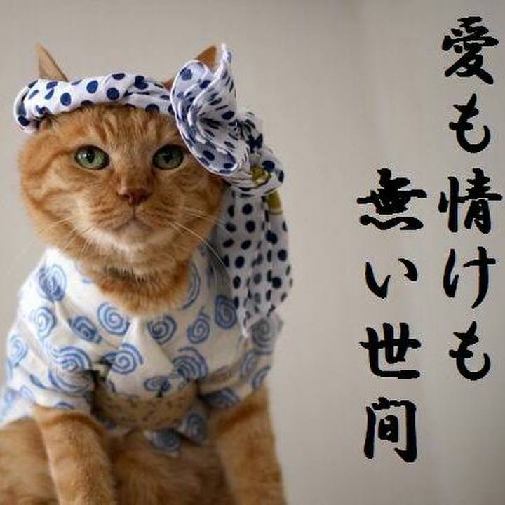 90c92b7b cf34 4abe 8dc5 af70a3ee5b1a