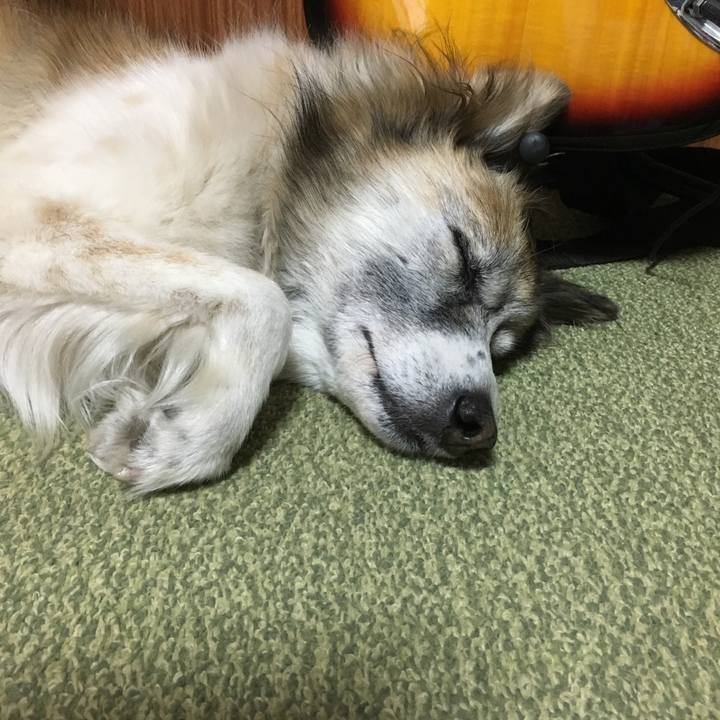 90c935e7 985e 4ae1 91e1 43216ad018a2