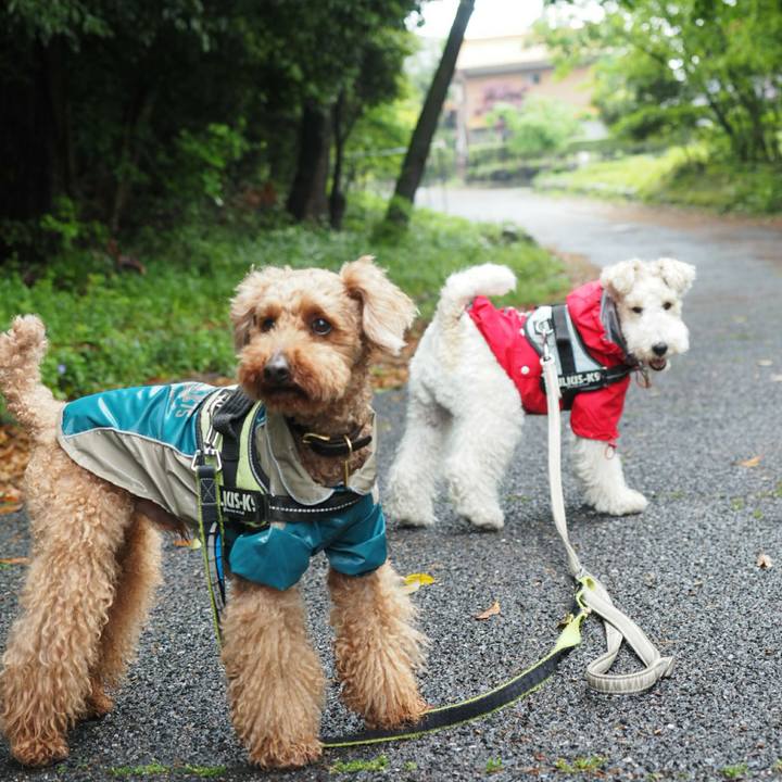 90c97bac b780 4972 a14b 4ee3392afc2c