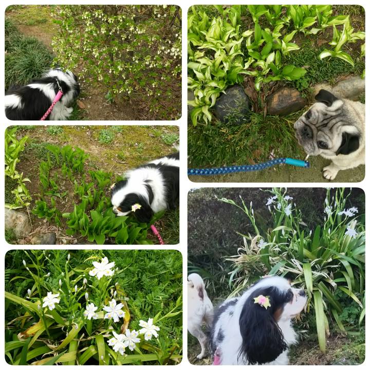 90c97fd8 ac50 4be3 a2f0 c0a2edbf8ac5