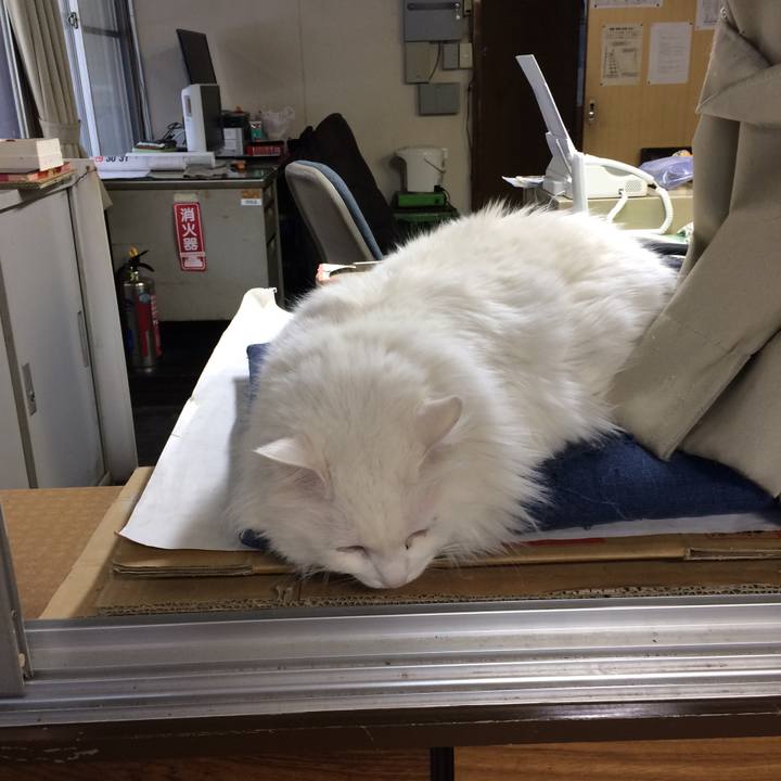 90c9aa52 b82c 4a79 941e 14ace5c31cbe