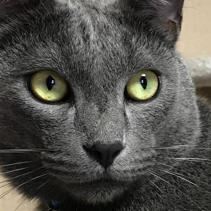 90c9d786 0a4d 4d92 93a0 655605366a40