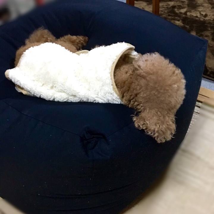 90c9db45 3eda 42dd a757 54d1639f2246