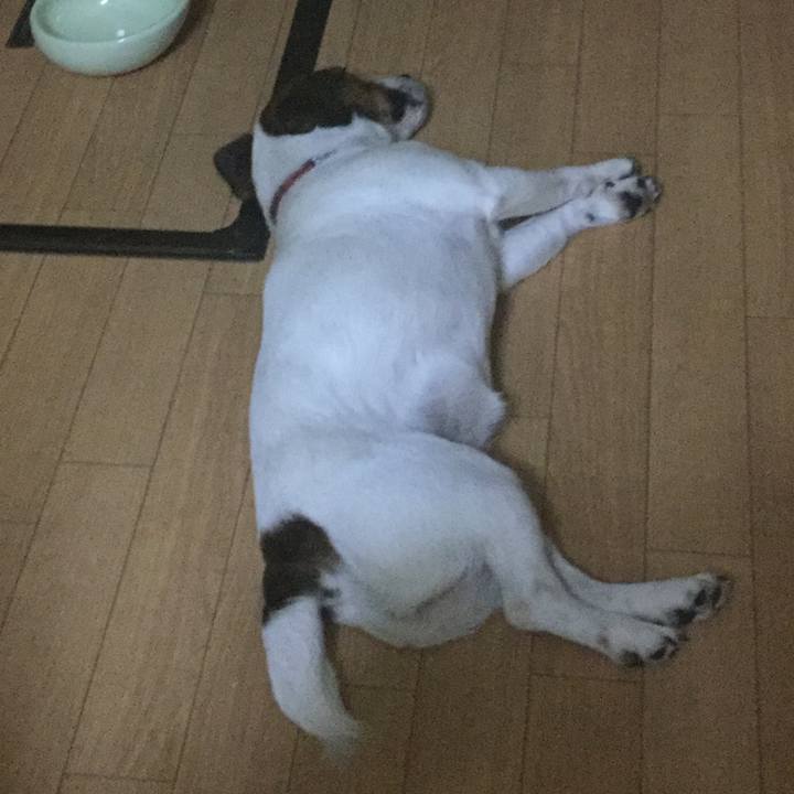 90c9deb5 6ee3 44a5 8ed4 f3859d172a26