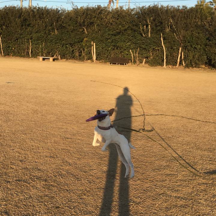 90ca1700 f551 4a3b bb14 456f5f6ca741