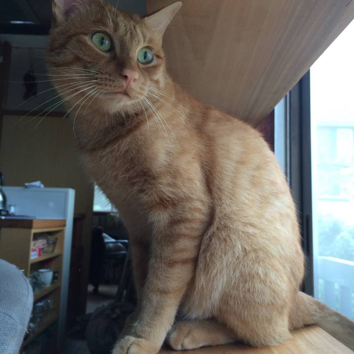 90ca5c02 6134 4c61 85c0 660df8f854a9