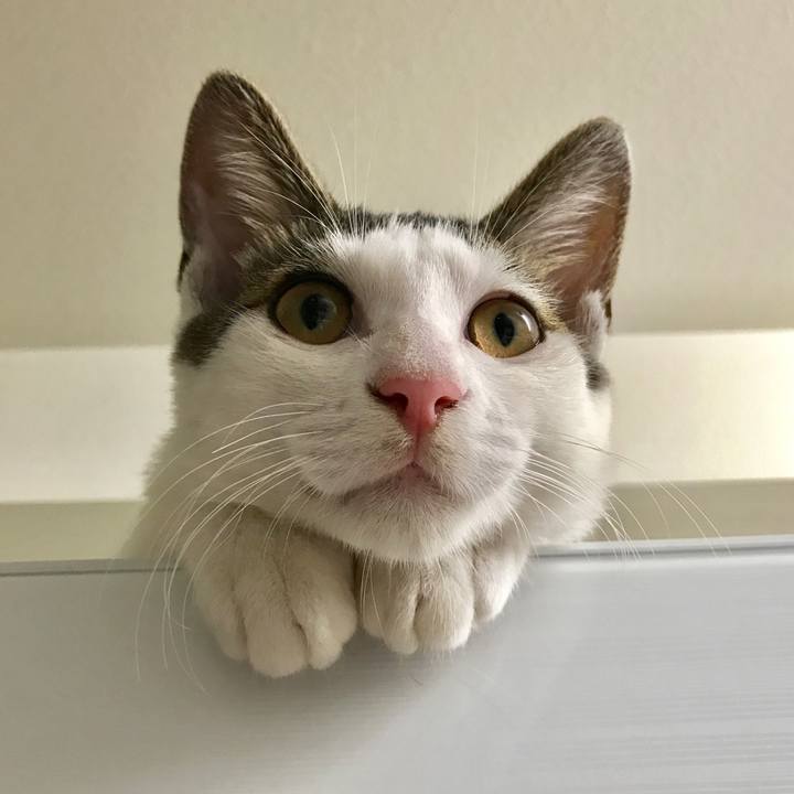 90ca77b8 1113 4278 befb bdec805ff589