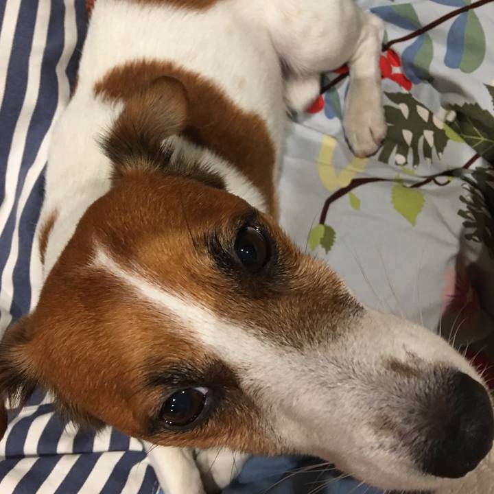 90caa5d8 87db 4e89 bf36 0d9dc051b360