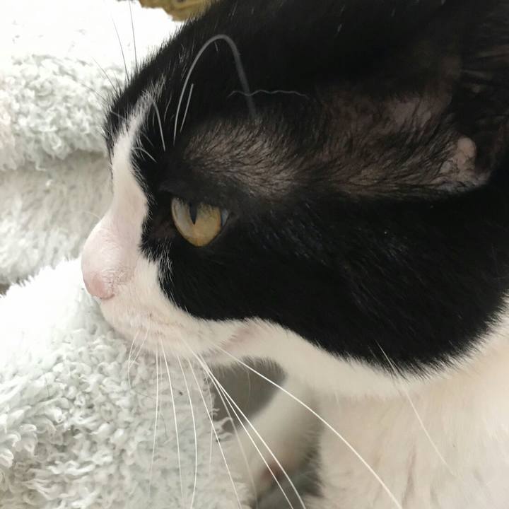 90cac389 e2ed 45e5 b9a4 e7b5139eae94