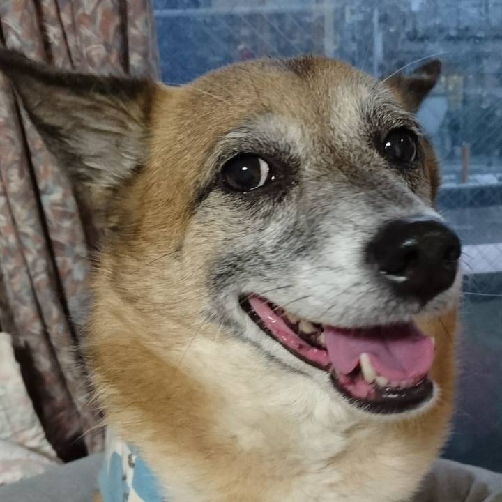 90cafdb2 7e76 4ca5 adf4 43b5e63b5d73