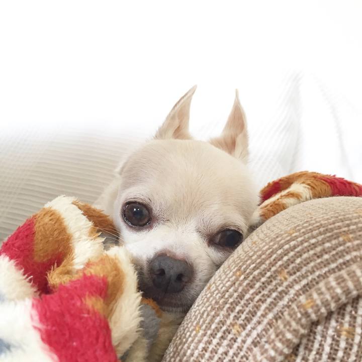 90cb3562 857e 4056 9764 6b6957fa9a47