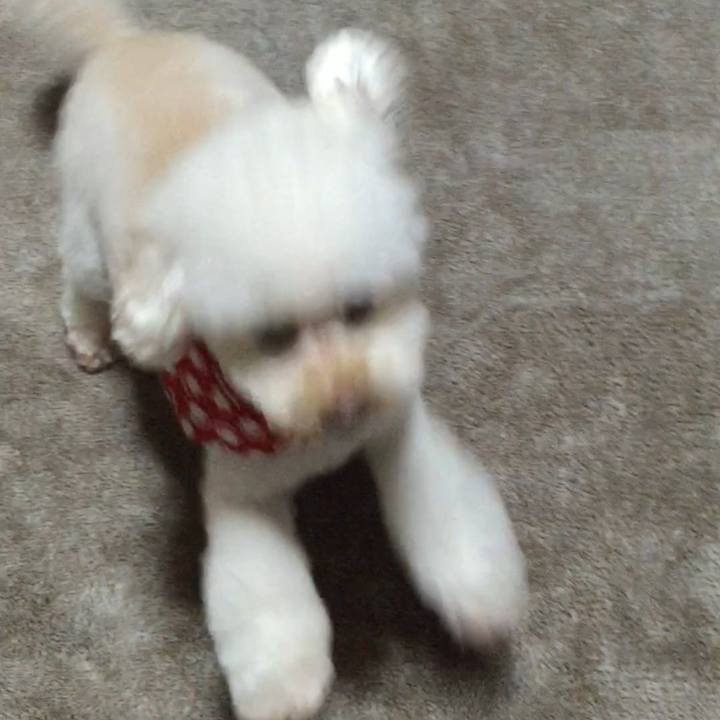 90cc0020 a99e 4d17 9b5f 5fe9bd8b2f65