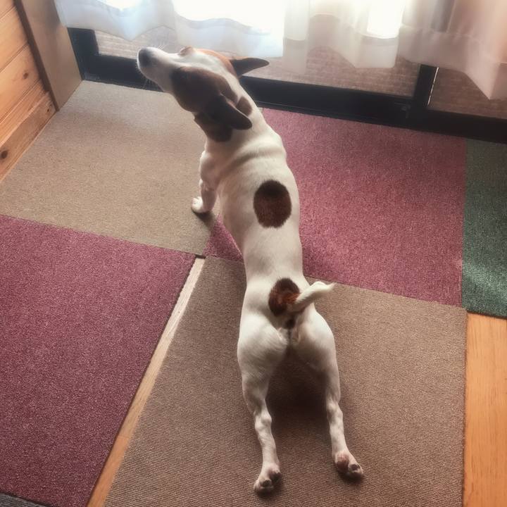 90cc43b7 27f4 442f b119 4a634c2b09ae