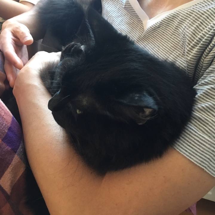 90cc8e4d fc28 4f47 accb f73df0dc43da