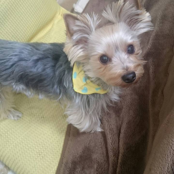 90ccb170 7c39 4fd4 9dac 5599a31b374e