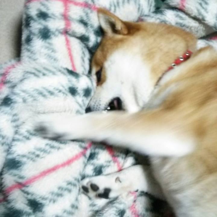 90ccb7b7 8b83 46e5 aa10 69e506f75ed6