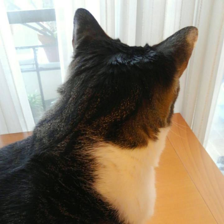 90ccc19c b554 445c 9365 88f5177da0af