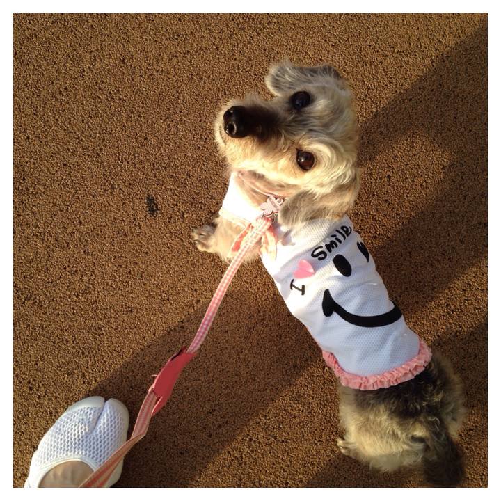 90cccc61 8142 40ac bee8 11c2f680cda6