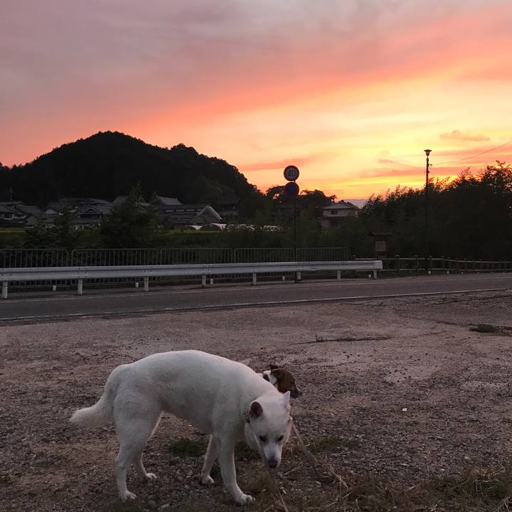 90cd11a4 5b77 4eab 8970 b95ab61efaee