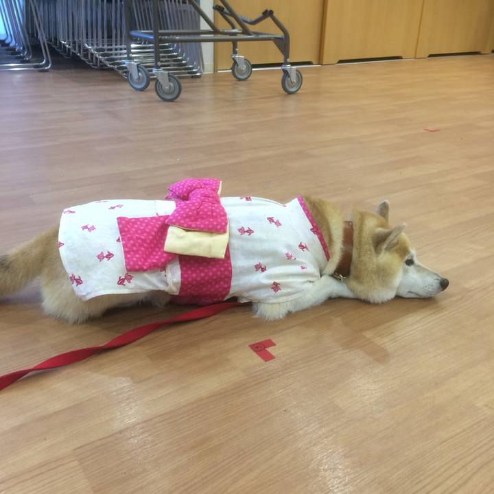 90cd941a 63a5 47c3 8b52 8d6d90dd72a3