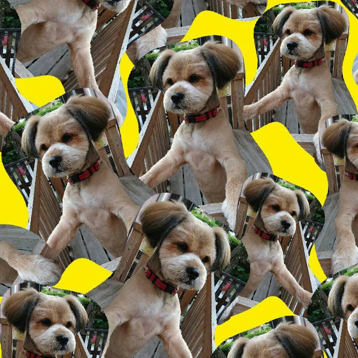 90cd95c7 6908 4aaf 9d5b 3f27c9dae819