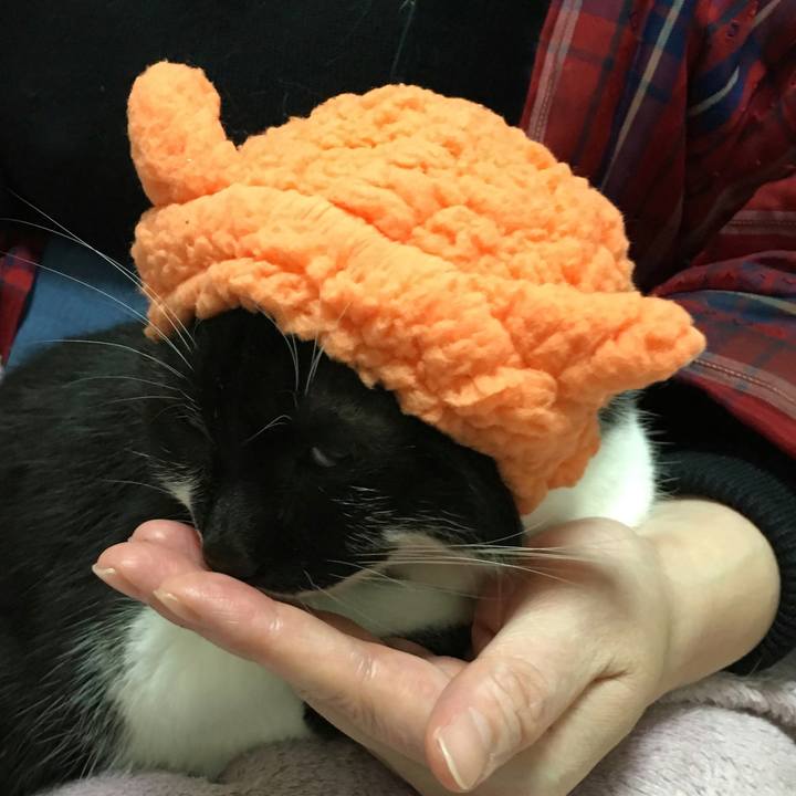 90cde7a2 d85a 4c01 9559 cc4e4871da9d