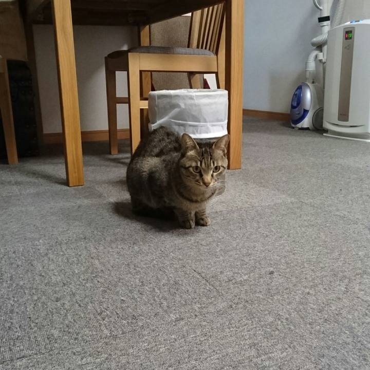 90cef505 eb57 475d a3d2 c83b55ec8e6e