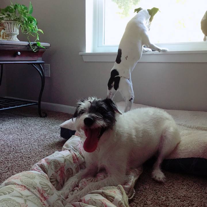 90cfc81f 4c7b 4b65 a8bc a4026b76f386