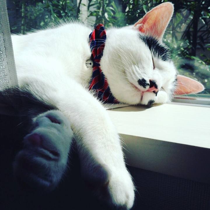 90d05b64 65c1 4f2d a65a 8186fcee682f