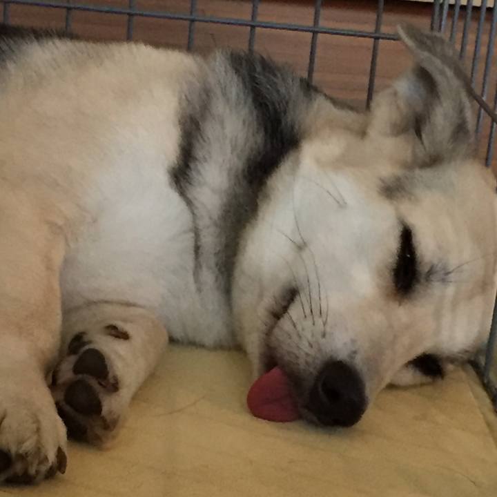 90d0acb3 8753 4332 b7ed 130c89f63cef