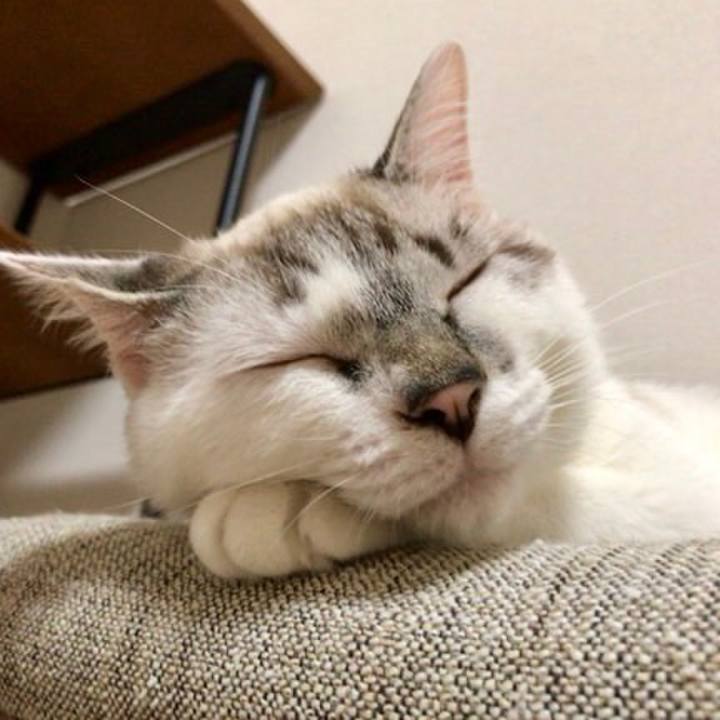 90d0b5f5 564e 44ea 916c 4cd12aaba3d9